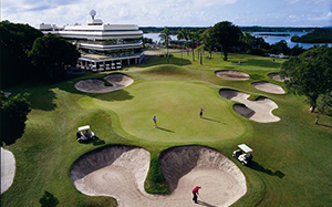 Cup of coffee and gerbera on wooden table